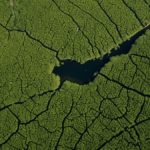 Deltas coulent plus vite mer monte featured