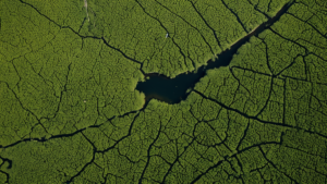 Deltas coulent plus vite mer monte featured