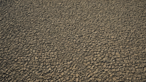 Demi million gestes bonte monde featured