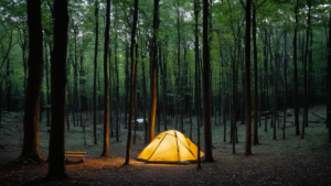 Euphoria coachella premiere serie festival featured