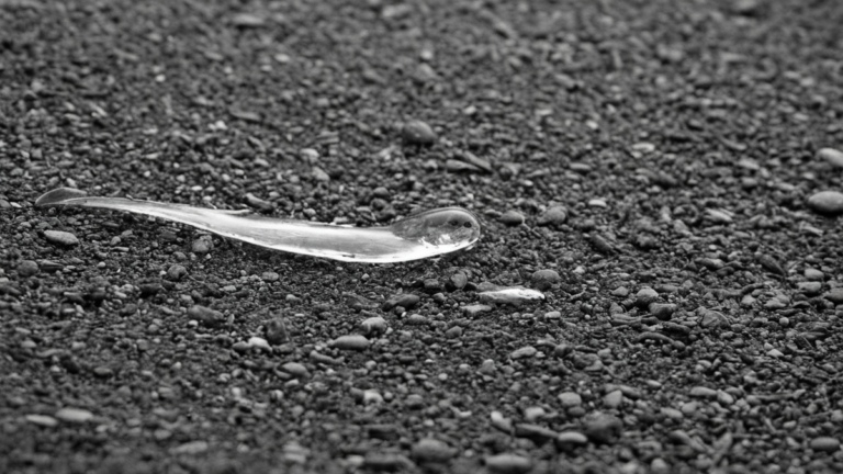 Fda methodes plus tot tests animaux medicaments featured