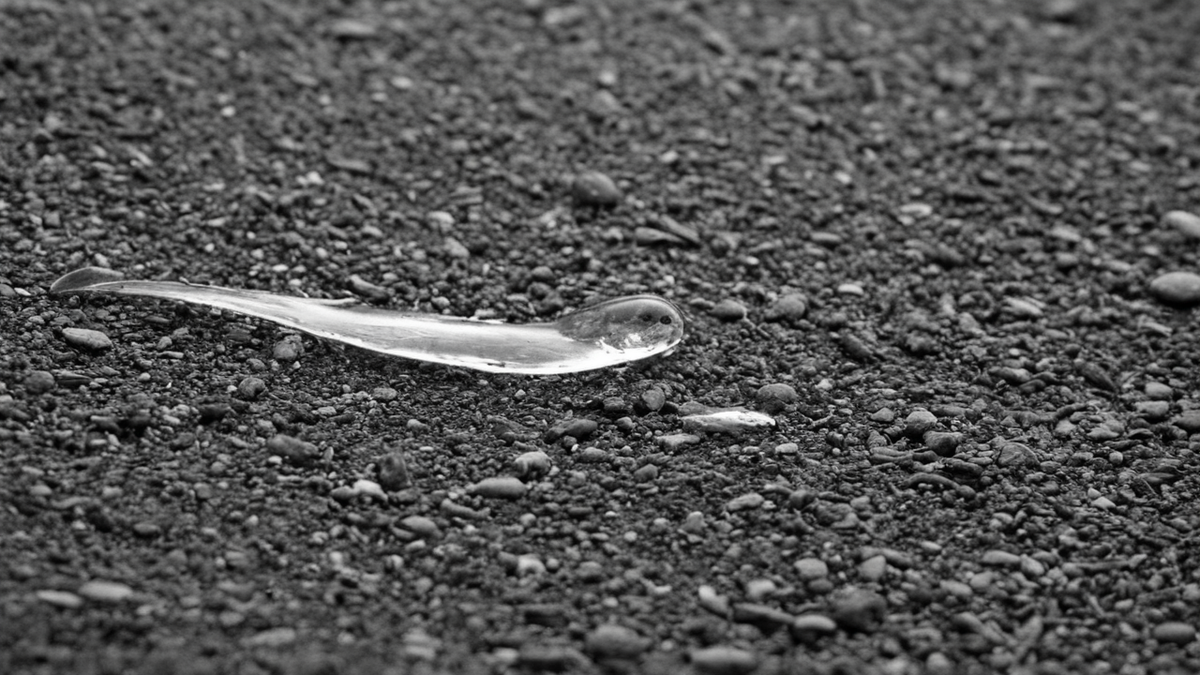 Fda methodes plus tot tests animaux medicaments featured