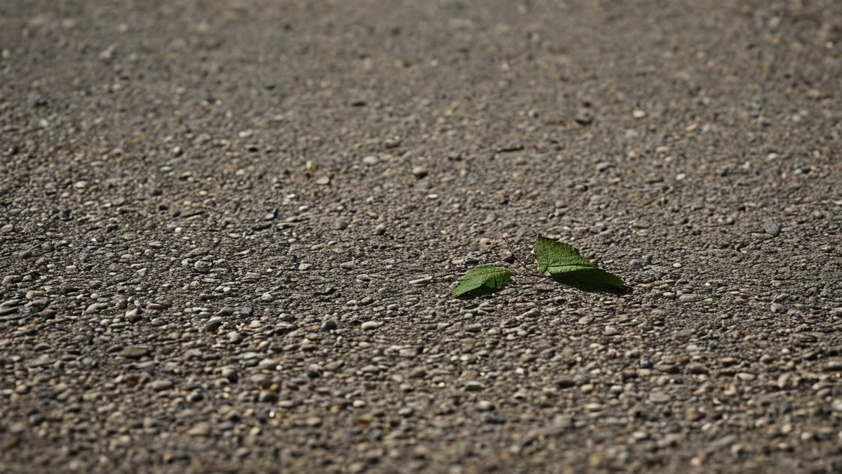 Un petit espace vert de quartier semble de nouveau fréquenté dans une rue calme.