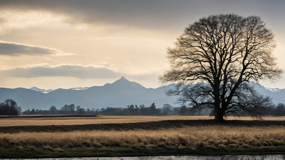 Un paysage de Hokkaidō avec des grues lointaines rappelle que le symbole culturel repose aussi sur une présence écologique réelle.