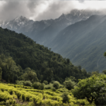 Himalaya foret trente ans communautes featured