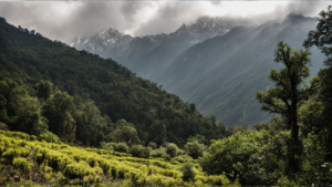 Himalaya foret trente ans communautes featured