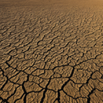 Moyen orient riche petrole renouvelables avancent plus vite featured