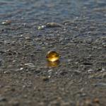 Orbe doree ocean anemone mystere alaska featured