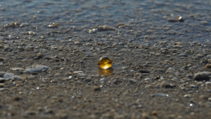 Orbe doree ocean anemone mystere alaska featured