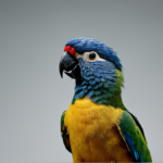 Perroquets prenoms featured