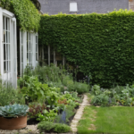 Potager devant maison soleil espace featured