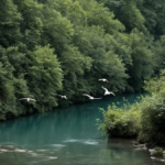 Proteger 40 especes migratrices routes vivant featured