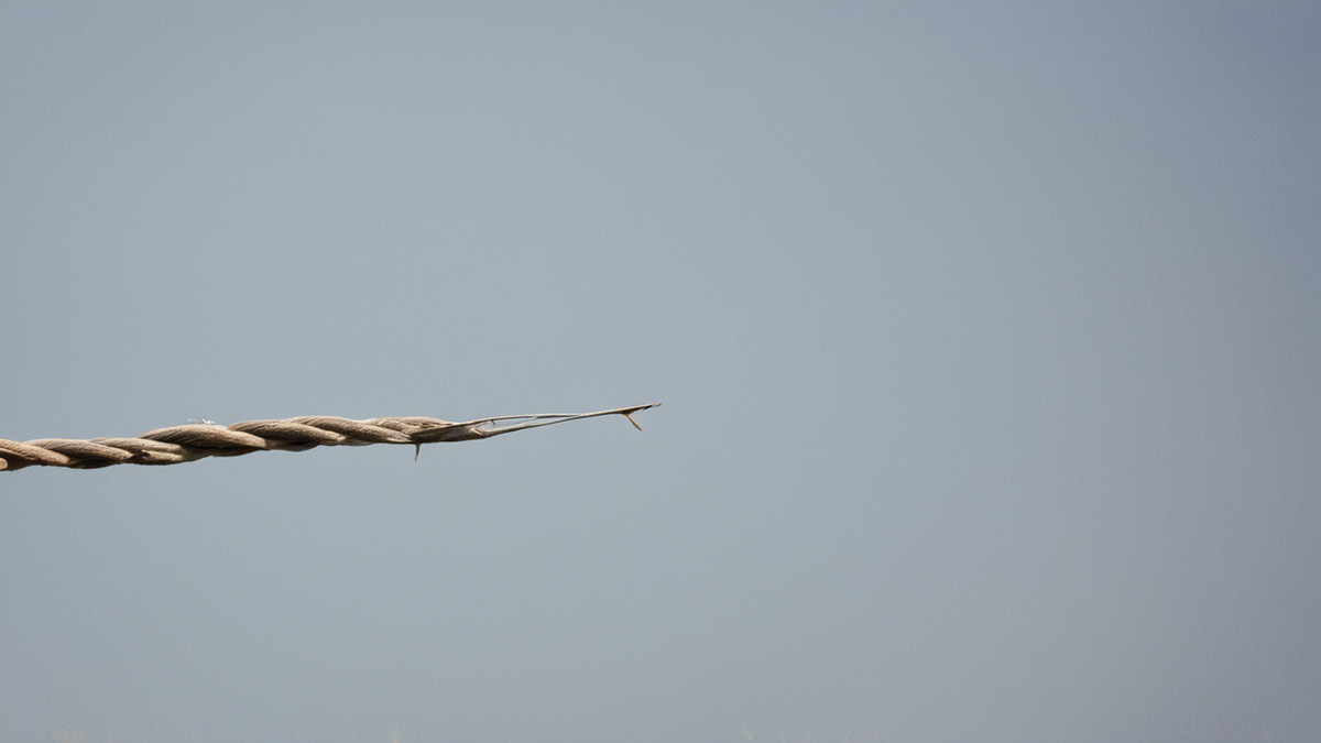 Un détail de peinture regardé de près dans un musée, avec une présence humaine secondaire.