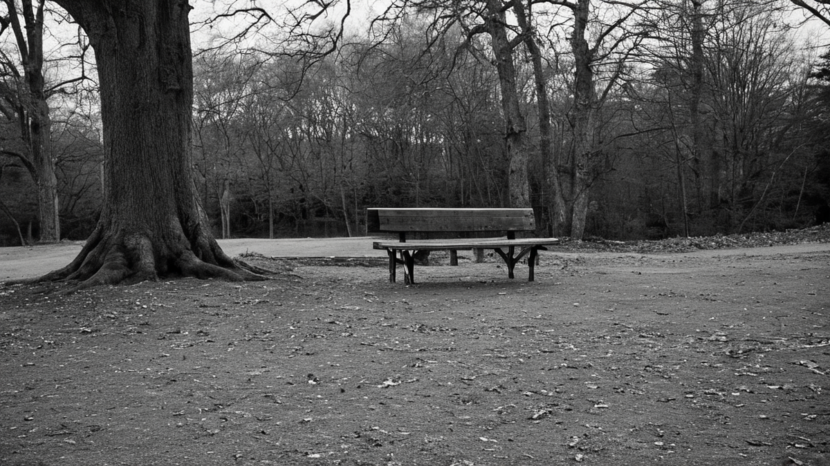 Une classe de maternelle revenue au calme laisse voir son cercle d'activité au sol.