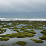 Sel mer eau souterraine cotes featured