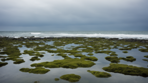 Sel mer eau souterraine cotes featured