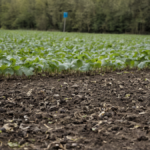 Stockage alimentaire matiere vegetale remplace produits chimiques featured