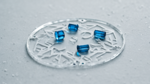 Trisomie 21 crispr chromosome en trop featured