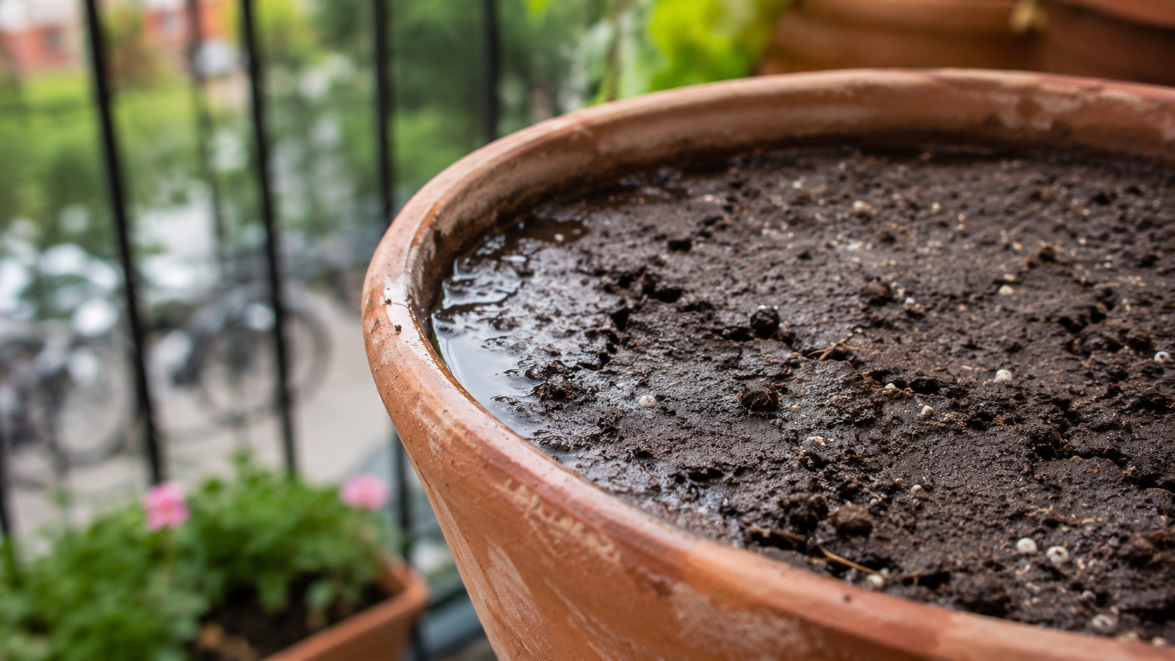 Terreau compacté et craquelé dans un pot de balcon