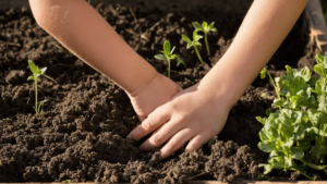 Jardins scolaires : une plate-bande peut apprendre plus qu&rsquo;une affiche