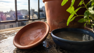 Soucoupes de plantes retournées sur un balcon après la pluie, geste de prévention contre le moustique tigre.