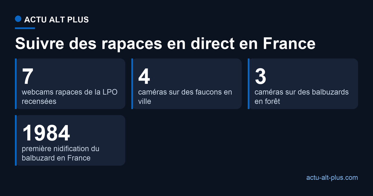 Où suivre des rapaces en direct en France : sept webcams LPO, première nidification du balbuzard en 1984, une cinquantaine de couples en Centre-Val de Loire