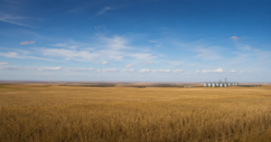 L’Alberta, ce territoire grand comme deux fois la France qui n’a plus vu un rat depuis 1950