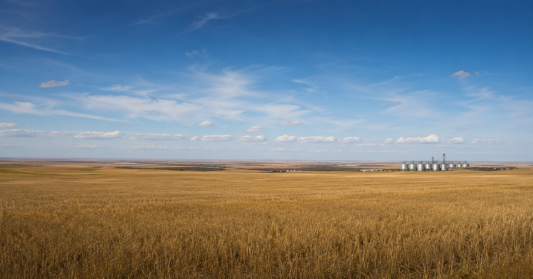vaste plaine agricole canadienne à perte de vue, silos et champs, ciel immense, frontière invisible