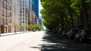 Arbres en ville : ils annulent près de la moitié de l’îlot de chaleur, mais pas pour tout le monde