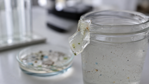 À 18 ans, elle invente un plastique qui se dégrade et dévore les microplastiques déjà présents