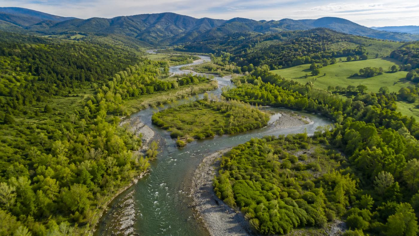 Riviere liberee apres effacement d'un barrage, saumons remontant le courant dans une vallee verdoyante
