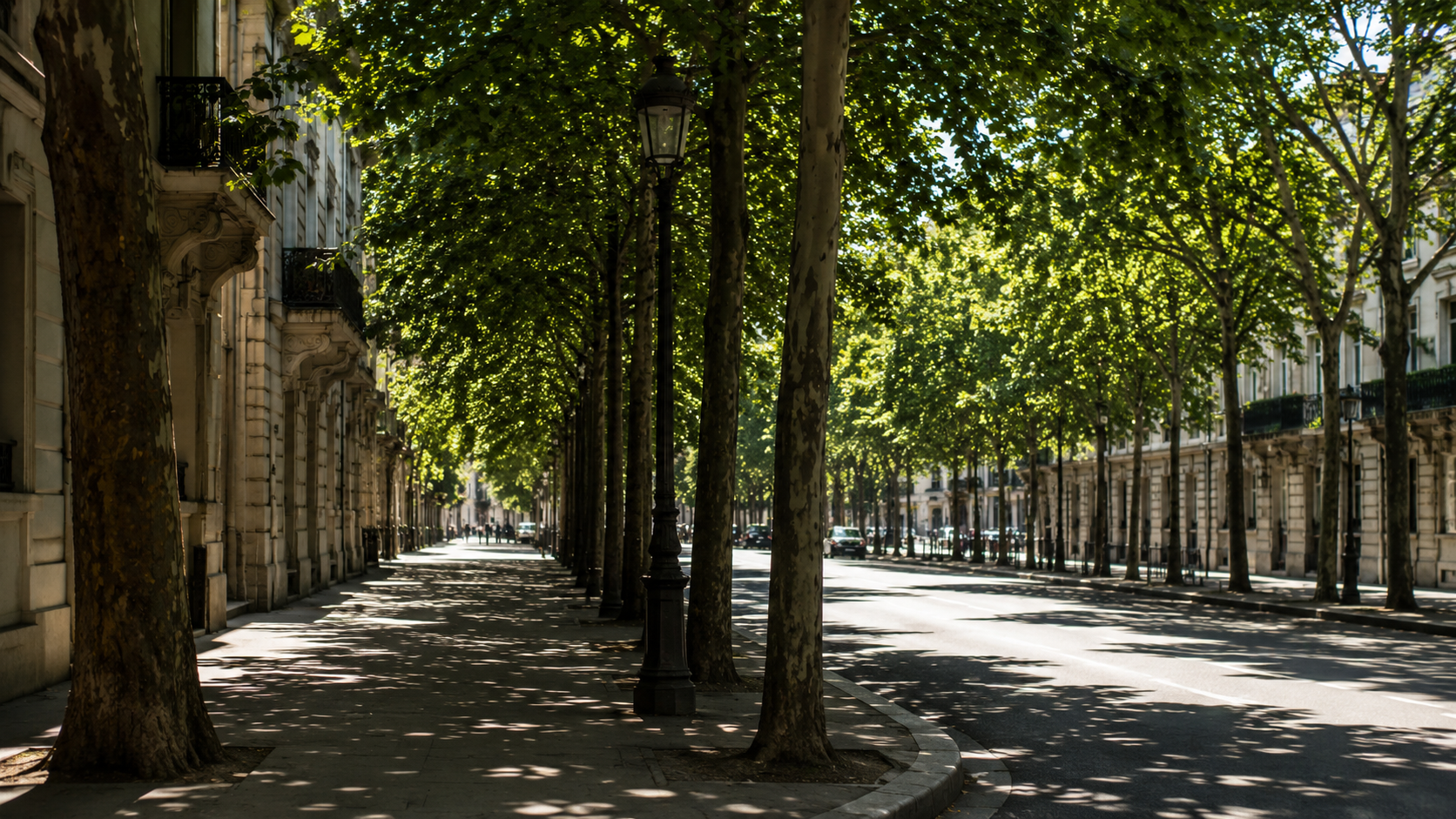 Une avenue parisienne bordée d'arbres projetant une large ombre sur le trottoir par forte chaleur