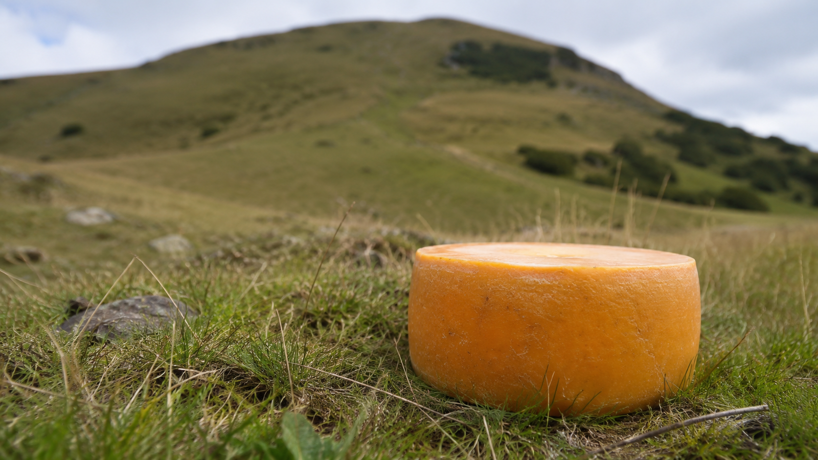 Une meule de fromage orange posee dans l'herbe au pied d'une colline.