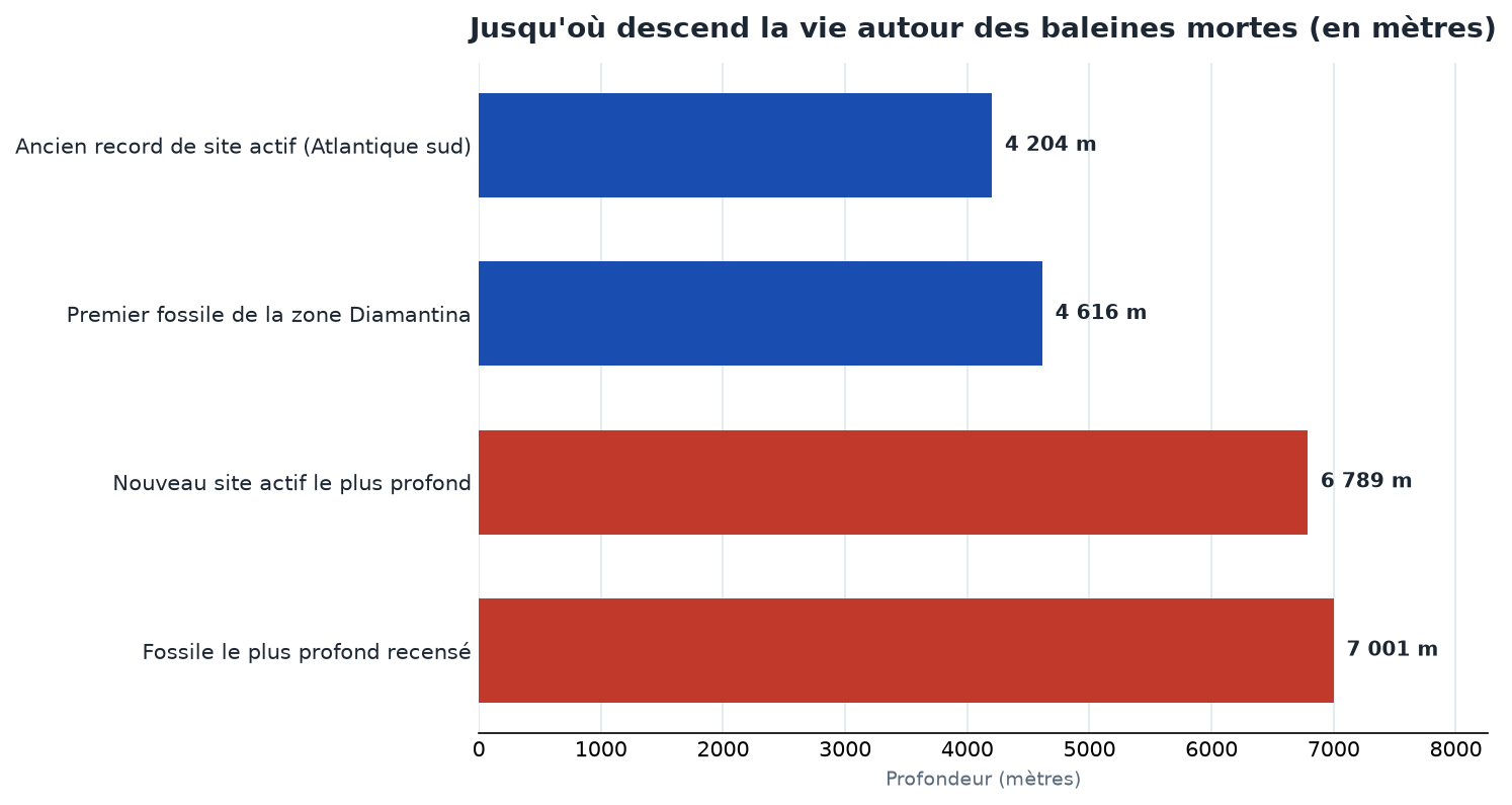 Profondeurs des chutes de baleines : ancien record actif 4 204 m, nouveau site actif 6 789 m, fossiles jusqu'à 7 001 m