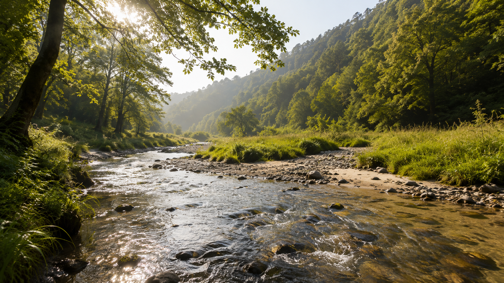 Un ruisseau forestier clair à fond sableux dans un paysage de collines, eau vive sur les galets