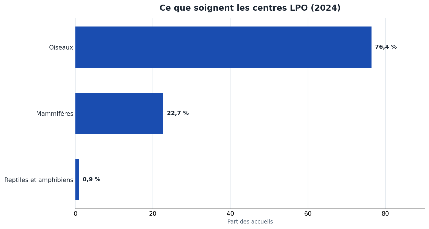 Répartition des 18 499 animaux accueillis par les centres de soins LPO en 2024 : 76,4 % d'oiseaux, 22,7 % de mammifères, 0,9 % de reptiles et amphibiens