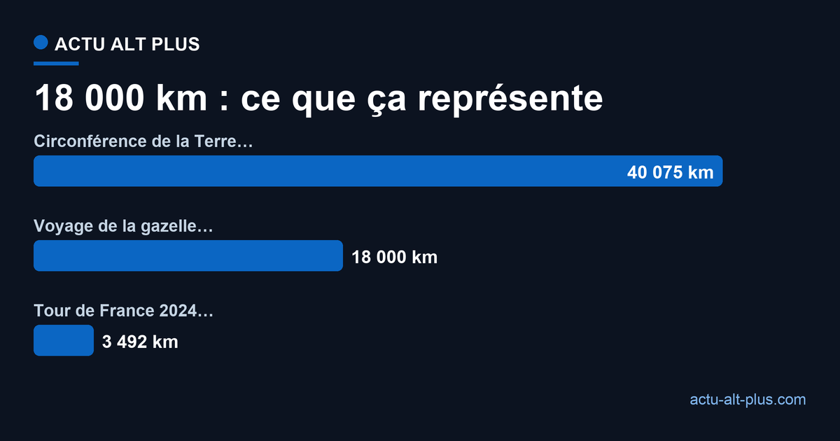 Graphique comparant les 18 000 km parcourus par la gazelle à des distances de référence