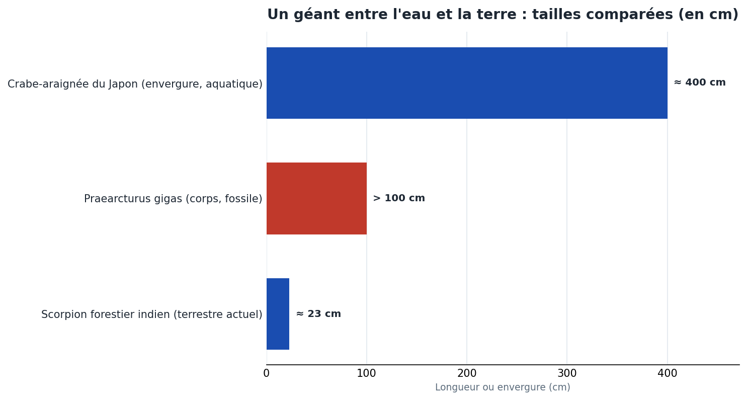 Tailles comparées : crabe-araignée du Japon environ 400 cm, Praearcturus gigas plus de 100 cm, scorpion forestier indien environ 23 cm