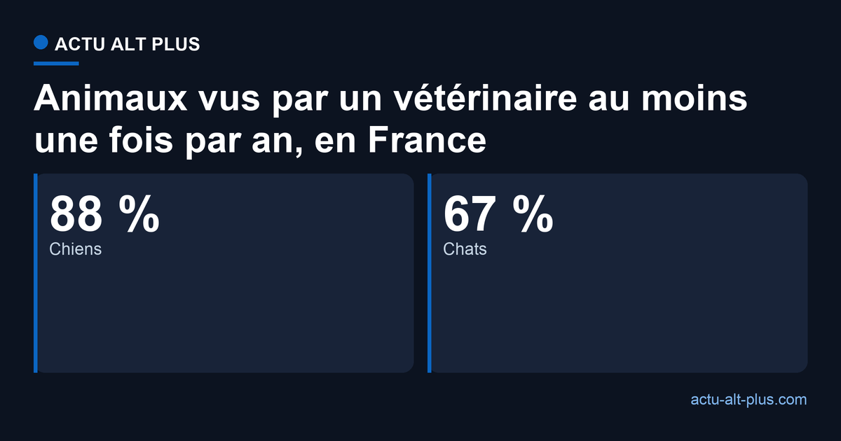 En France, 88 % des chiens consultent un vétérinaire au moins une fois par an, contre 67 % des chats