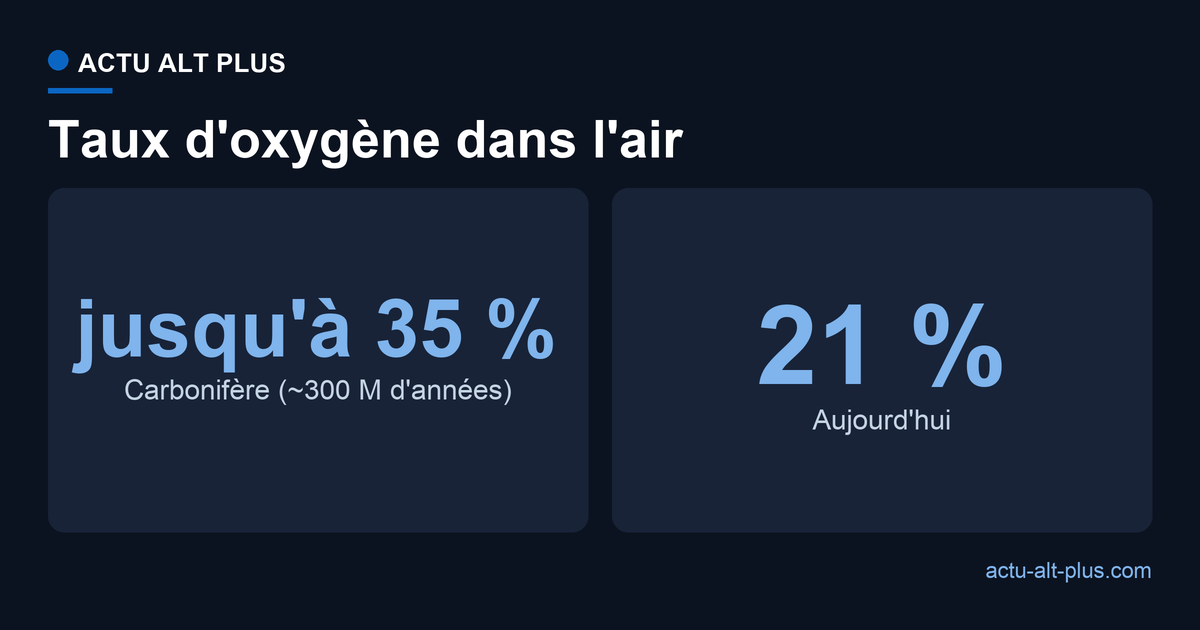 Taux d'oxygène dans l'air : jusqu'à 35 % au Carbonifère il y a 300 millions d'années, contre 21 % aujourd'hui.