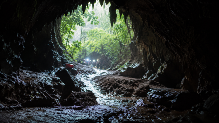 Entrée de grotte tropicale boueuse après un sauvetage