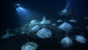 Au large de Mayotte, 120 amas de « glace de CO2 » au fond de l’océan, un site unique au monde