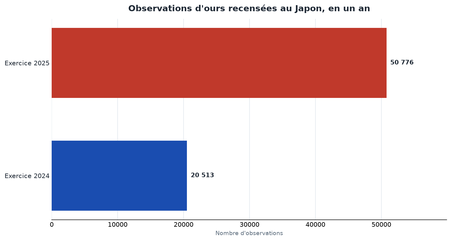 Observations d'ours au Japon : 50 776 en 2025 contre 20 513 un an plus tôt, soit une hausse de 150 %