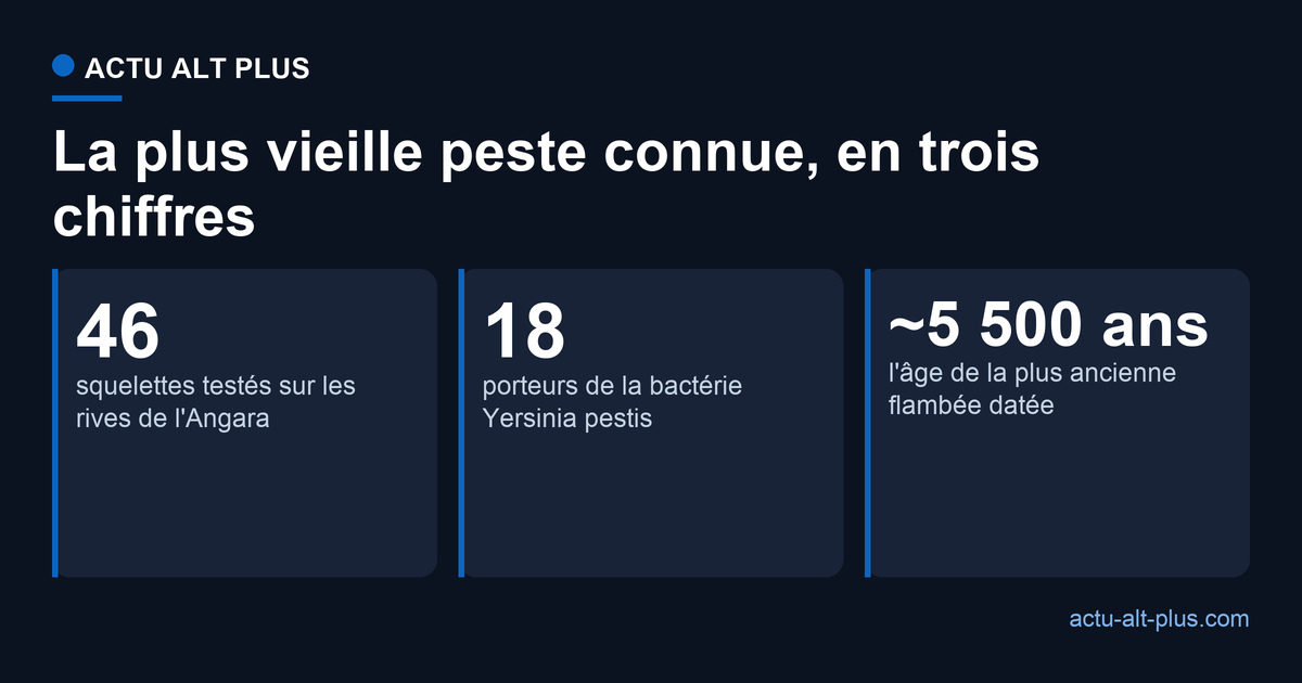 Sur 46 squelettes sibériens testés, 18 portaient la bactérie de la peste, lors d'une flambée vieille d'environ 5 500 ans