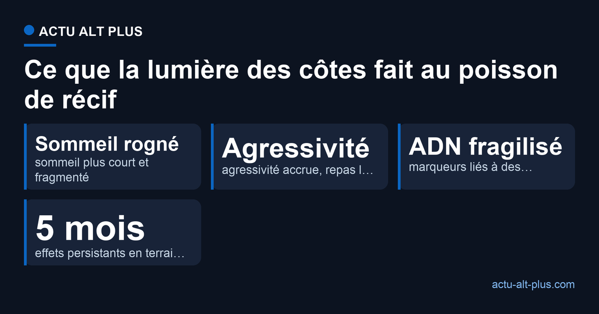 Les effets mesurés de la lumière artificielle nocturne sur le poisson de récif : sommeil plus court et fragmenté, agressivité accrue, marqueurs liés à des dommages de l'ADN, effets persistants sur cinq mois