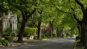 Au Québec, un village de 2 000 habitants donne des droits à ses arbres : 6 pays où la nature a déjà gagné ce statut