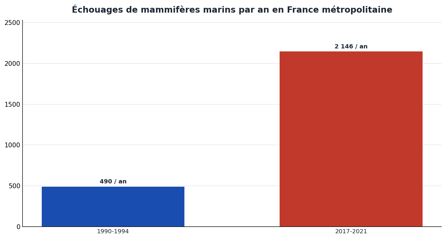 Le nombre de mammifères marins échoués par an sur les côtes françaises a été multiplié par 4,4, passant d'environ 490 à 2 146 individus.
