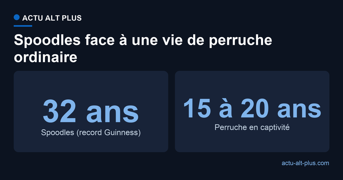 Spoodles a vécu 32 ans, contre 15 à 20 ans pour une perruche en captivité