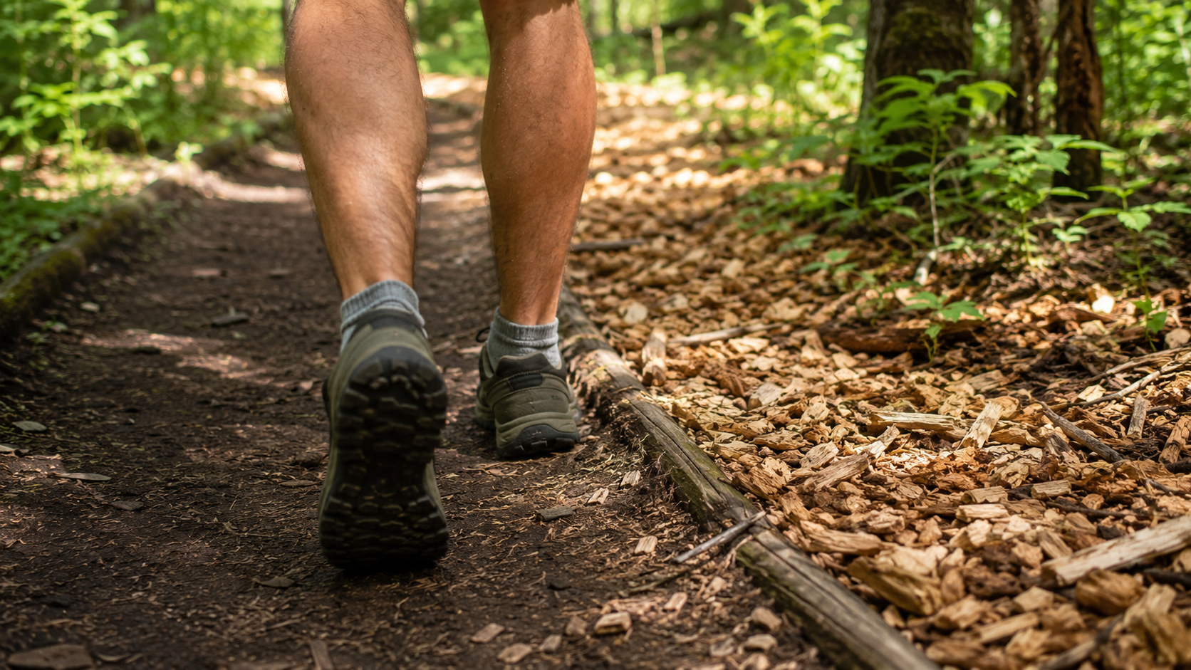 Les jambes d'un randonneur vu de dos sur un sentier bordé de copeaux de bois en été