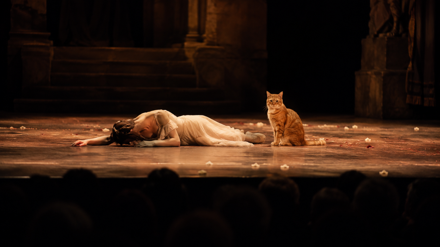 Un chat roux assis sur une scene de ballet a cote d'un danseur allonge immobile sous un projecteur